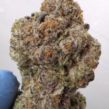 THIN MINTZ X JEALOSY (big buds) - 37%THC (special price $200oz)