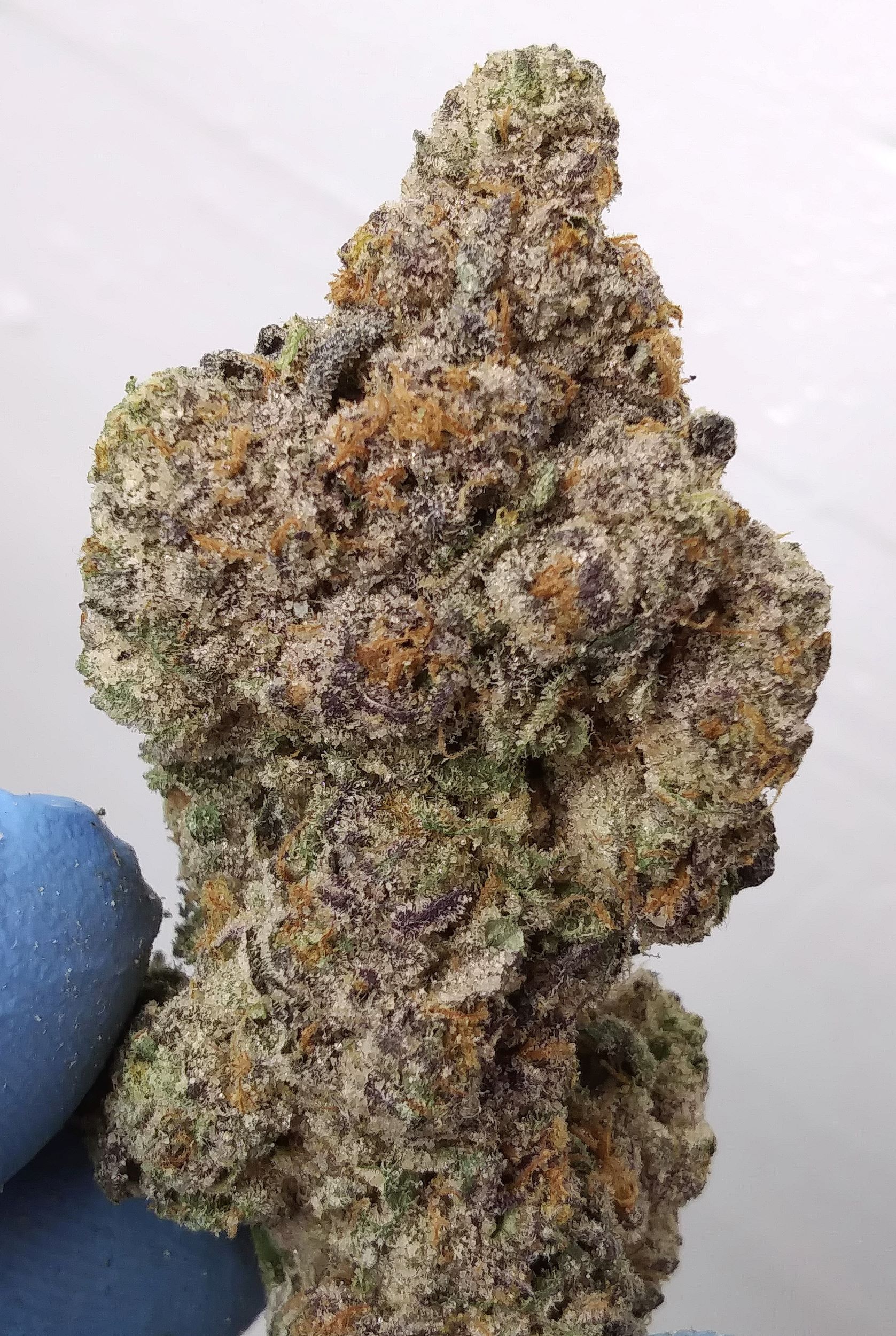 THIN MINTZ X JEALOSY (big buds) - 37%THC (special price $200oz)